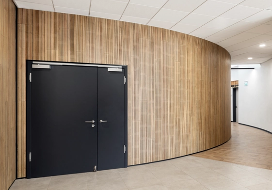 חיפוי קיר אקוסטי אלון