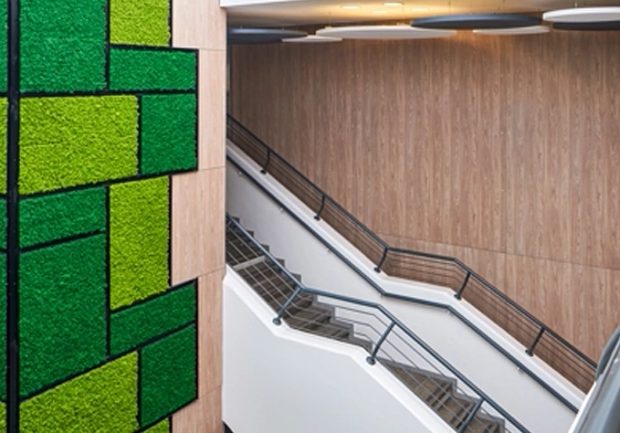 חיפוי קיר CDF