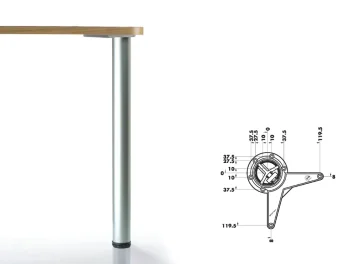 רגל נירוסטה