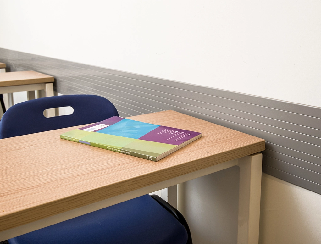 פס הגנה לקיר