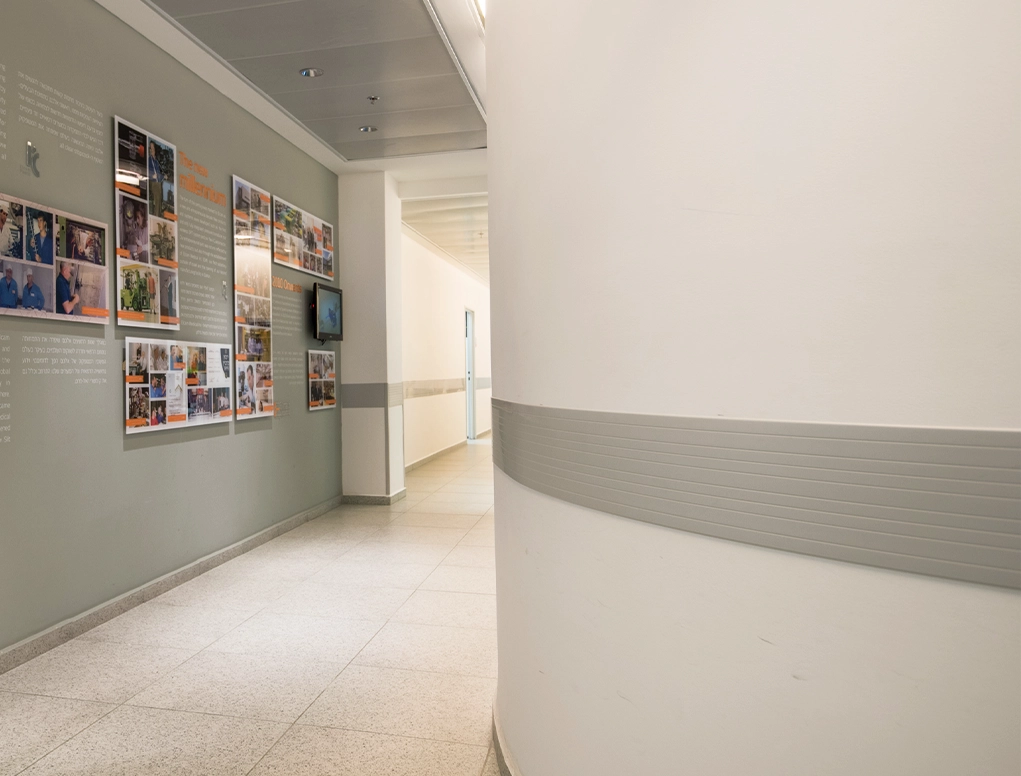 פס הגנה לקיר