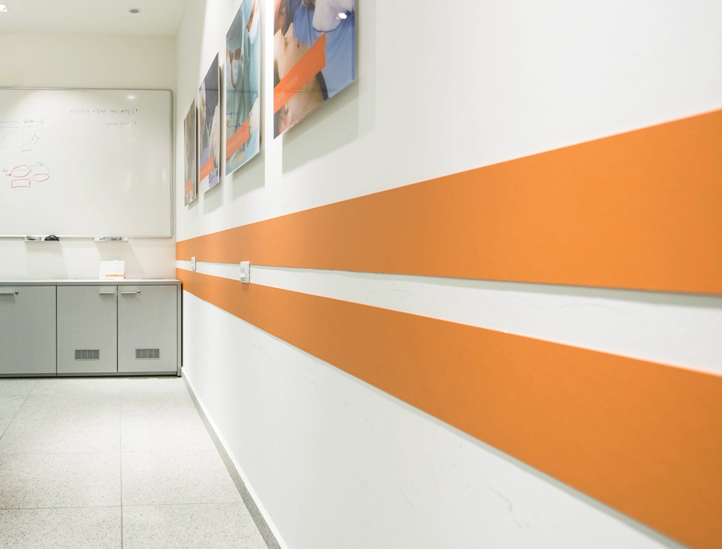 פס הגנה לקיר