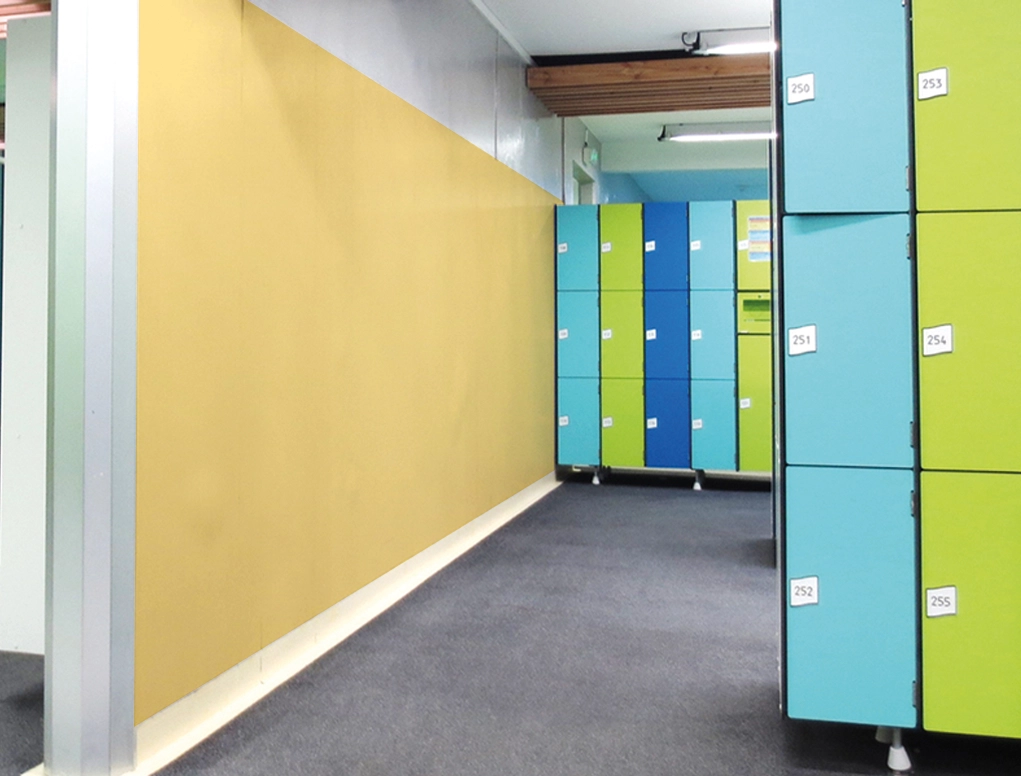 מגן קיר לאיזור לח