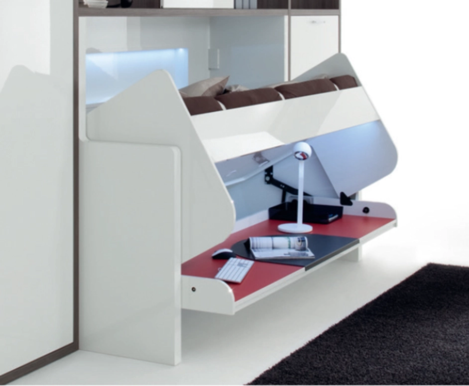 סולם עם וו ומעקה בטיחות