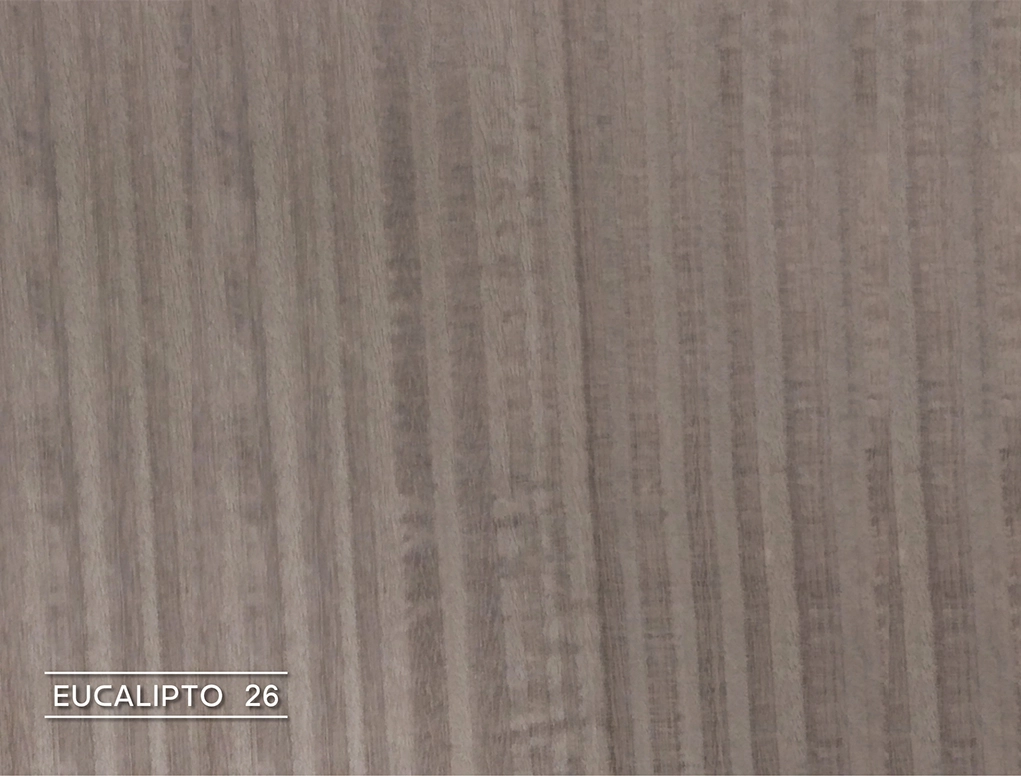 פורניר אקליפטוס