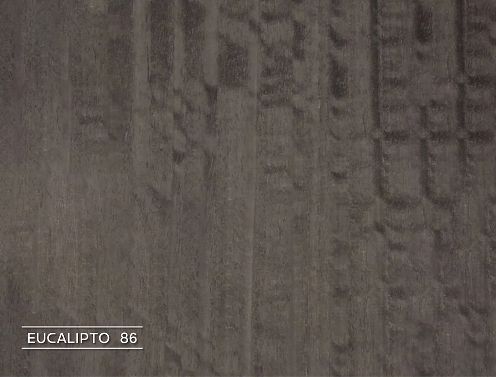 פורניר אקליפטוס