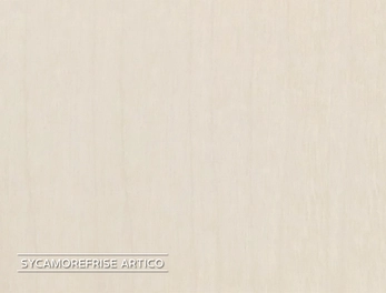 פורניר סיקמור פרייז טבעי מגוון המחיר למ"ר