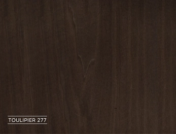 פורניר טוליפייר טבעי מגוון  המחיר למ"ר