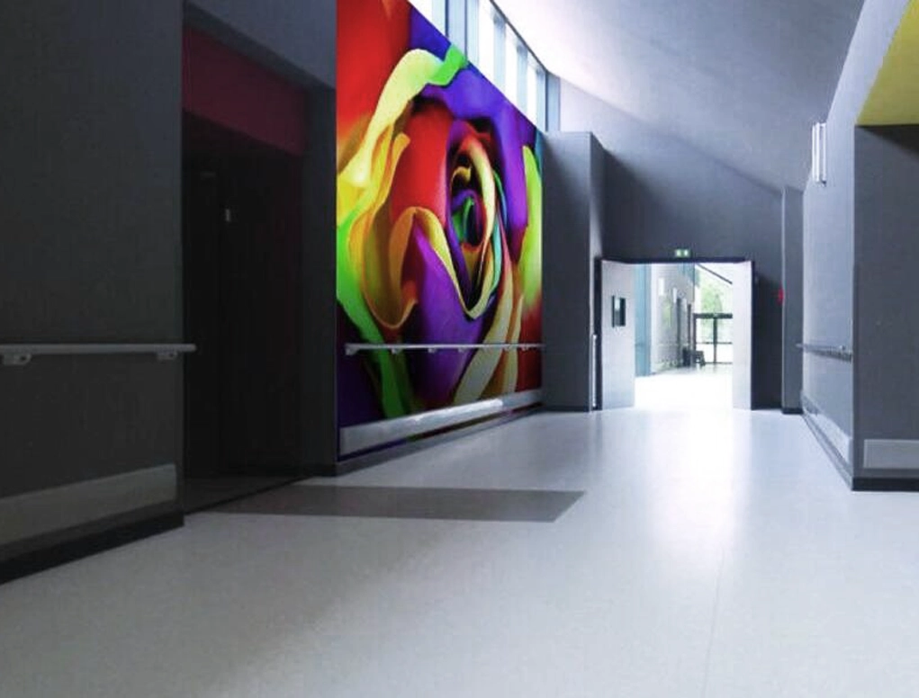 פס הגנה לקיר