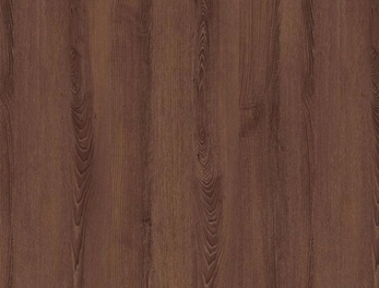 קנט 23X1ממ D2043CE אשה דבש