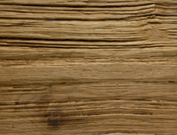 לוח בירץ הטבעה צורנית AUTHENTIC SPALT