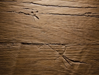 לוח MDF הטבעה צורנית AUTHENTIC OLD NATURE