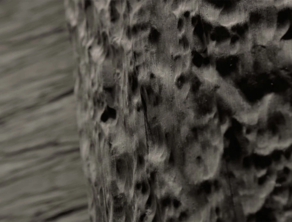 לוח בירץ הטבעה צורנית AUTHENTIC SMOOTH BARK