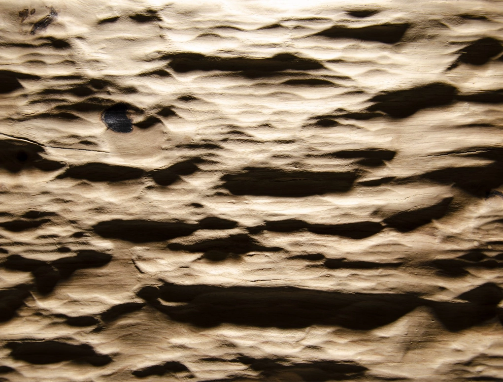 לוח בירץ הטבעה צורנית AUTHENTIC SMOOTH BARK