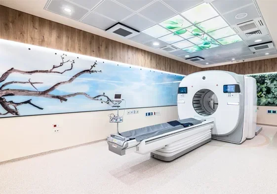 חיפוי קיר CDF אלון ניורק